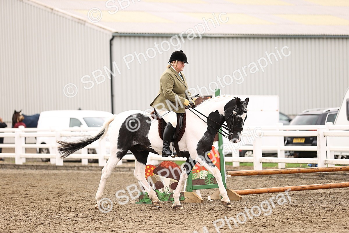 SBM_01344 - Class 54 - Riding Club Horse Pony
