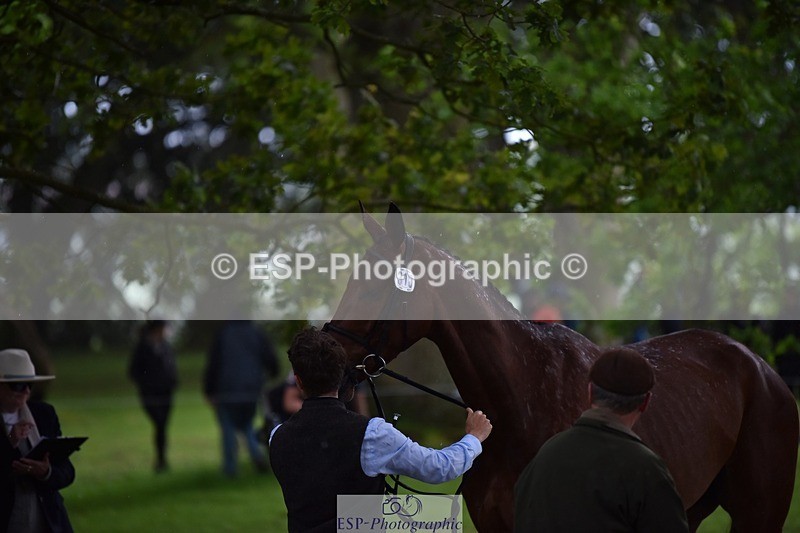 240522-150816-00114 - 310-CECELIA_COBRA-Tom_McEwen