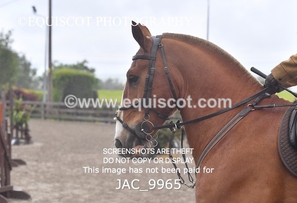 JAC_9965 - CLASS 3 Intermediate Working Hunter (0.70m - 0.85m)