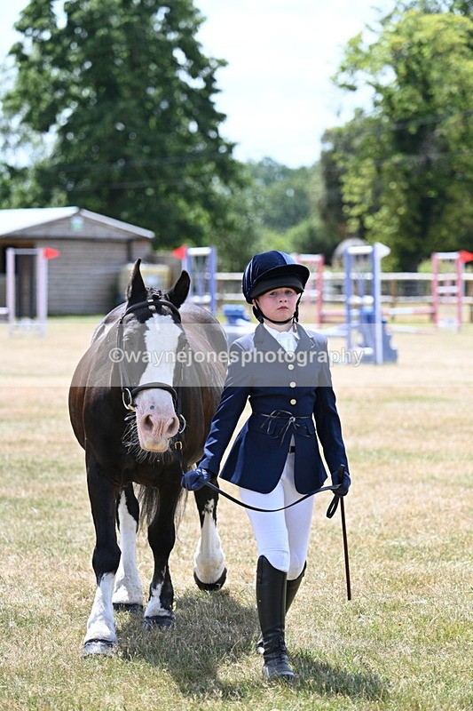 WJ7_2157 - Class 5 Most Handsome Gelding (up to 14.2hh) in hand