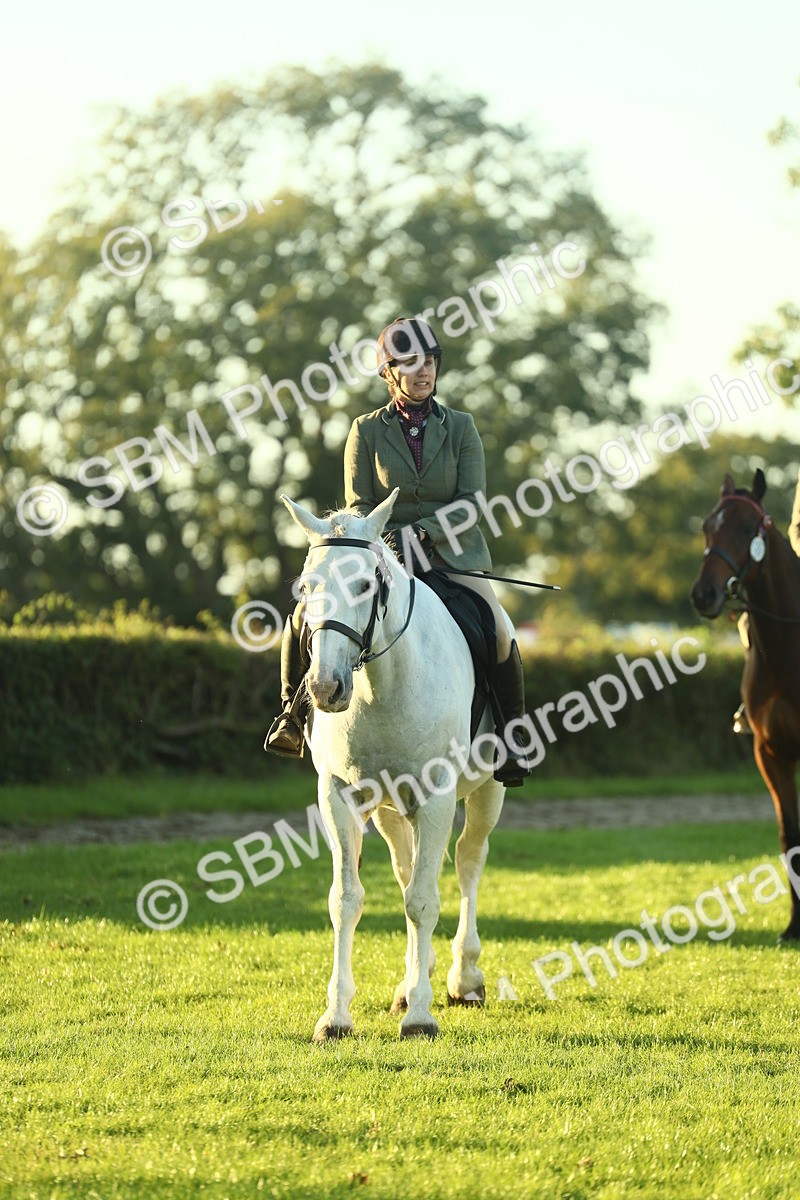 SBM_56425 - S14 - Riding Club Horse