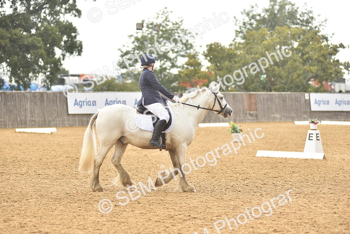 SBM_42411 - D22 - Junior Championship Intro 3