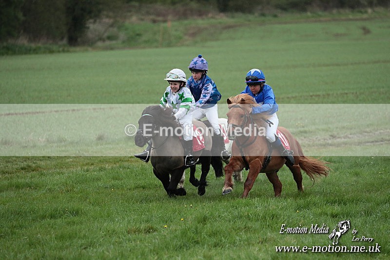 SHETPR 210425 177 - Shetland Ponies Paxford Races 21/04/25