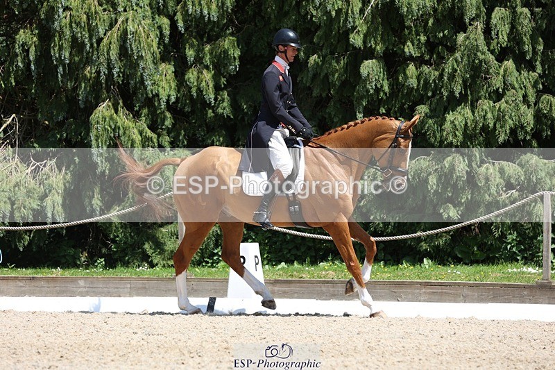 230526-140126-06441 - 370-DUKE_LEGACY-William_Fox-Pitt-WEDTrotUp+DR