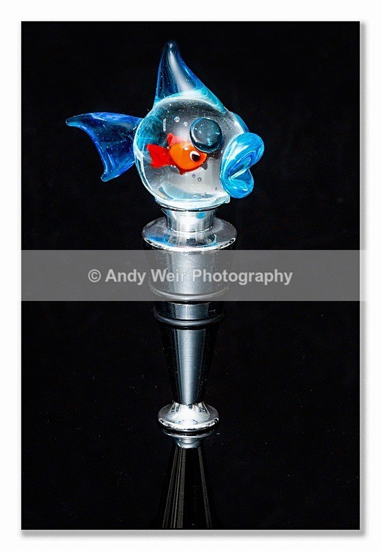 200122-R-1L4A3168-Edit-Edit-Edit-2 - Miscellaneous Photographs