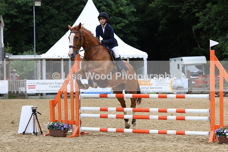 3E7A6453 - Class 4: Senior British Novice/90cm open