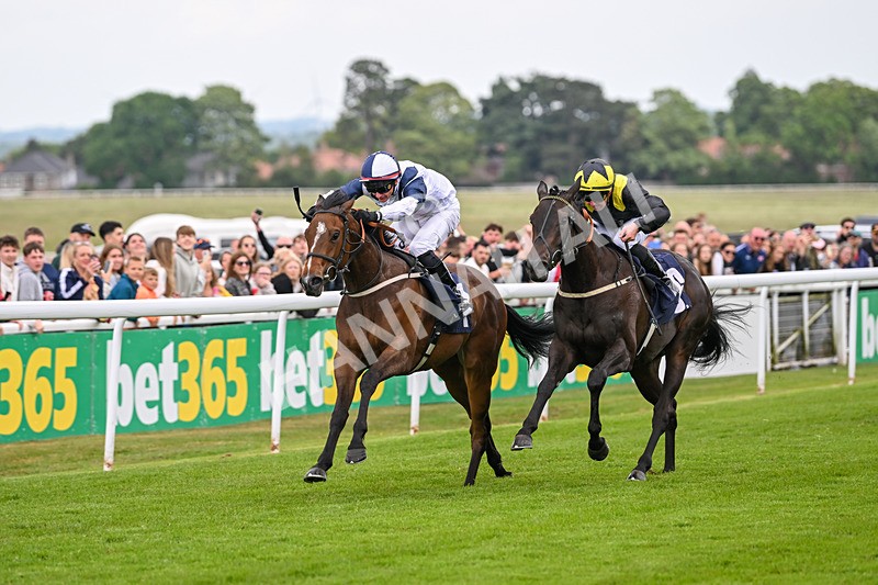 240525-Race 2-Argentine Tango-0267 - Race 2