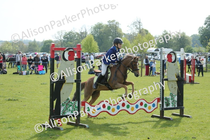 20260426-1579 - Class 14 - Novice 60cm