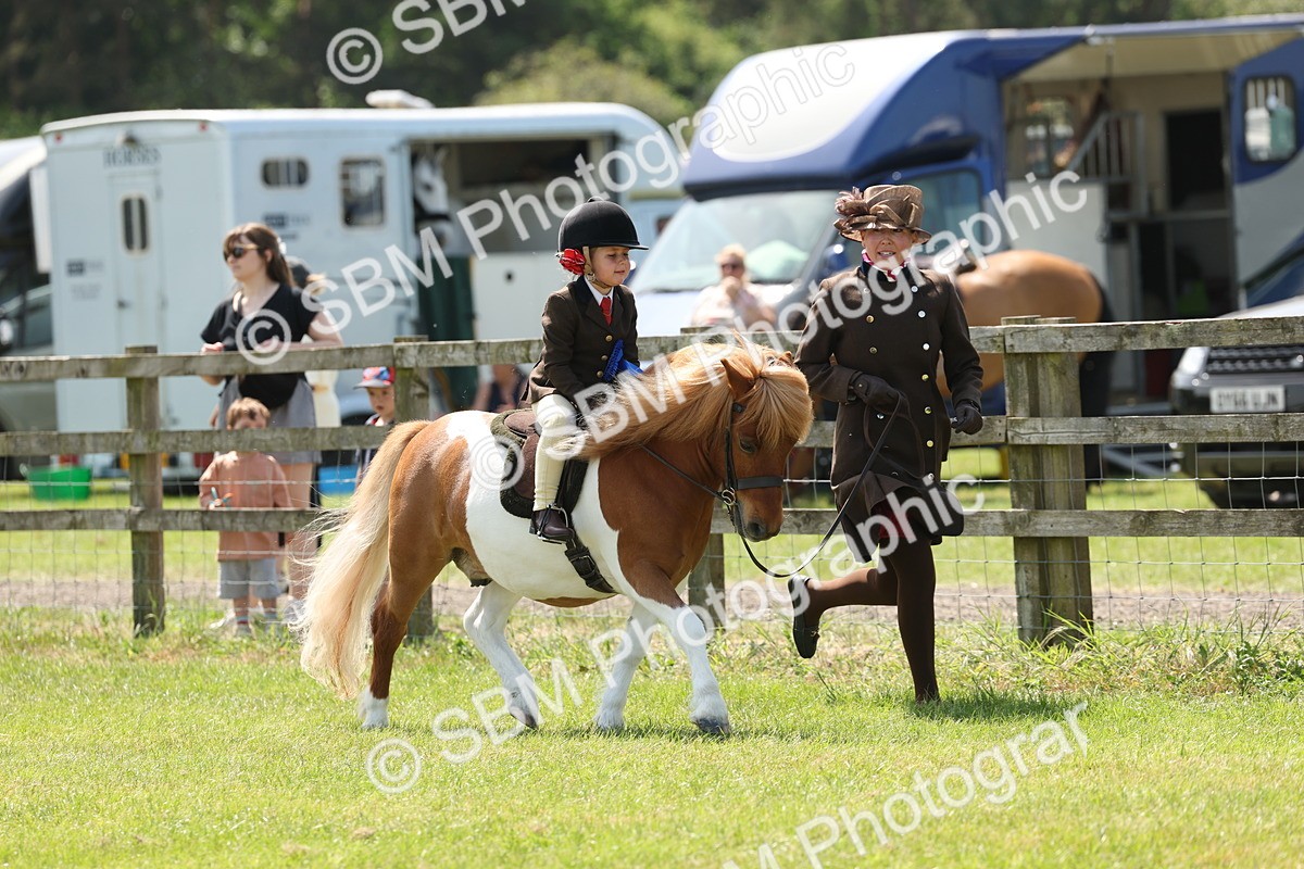 SBM_05300 - Class 24-25 - Mountain & Moorland In Hand Lead Rein and First Ridden