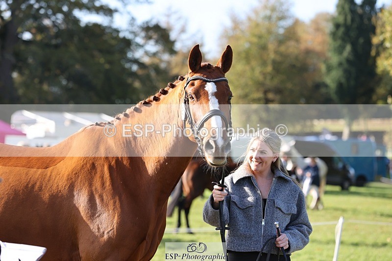 241027-101535-15774 - 512-Elisha.O'Brien-HIGHLIGHT.ROLLER