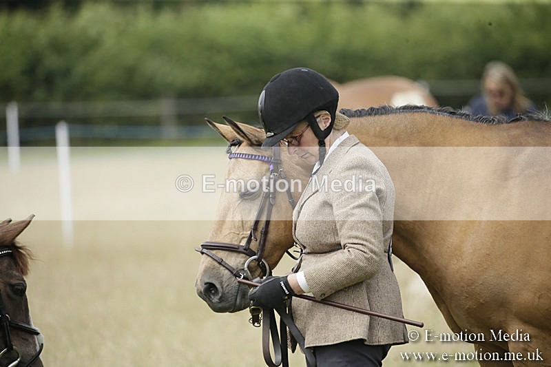 B230619-0475 - Bourne Valley Riding Club Summer Show 23/06/19