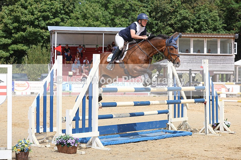 3E7A1915 - Class 9: Senior Foxhunter/1.20 open