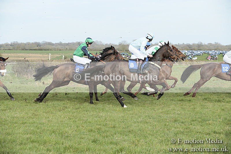 PtP 230319 439 - VWH Hunt Siddington Point-to-Point Racing 23/03/19