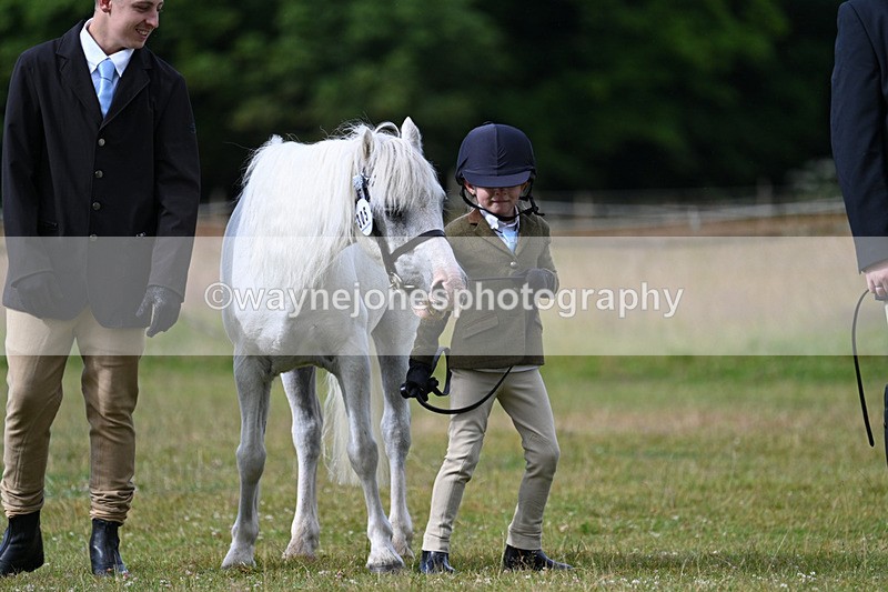 WJ7_4574 - Class 1 Lead Rein Pony