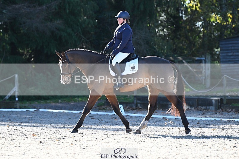 231110-112357-00393 - Cls 2 Prelim 17(a)Q