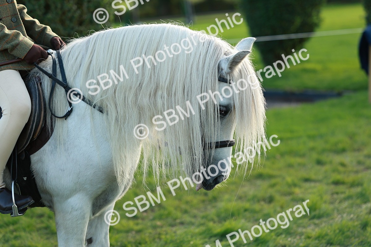 SBM_28793 - S7 - Novice & Newcomer Ridden Pony