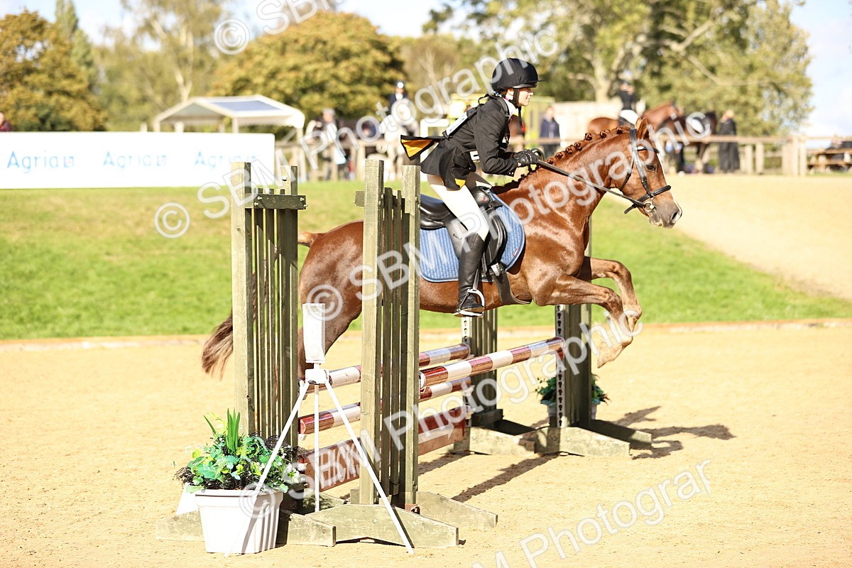 SBM_51459 - J10 - Junior Pony 75cm Championship