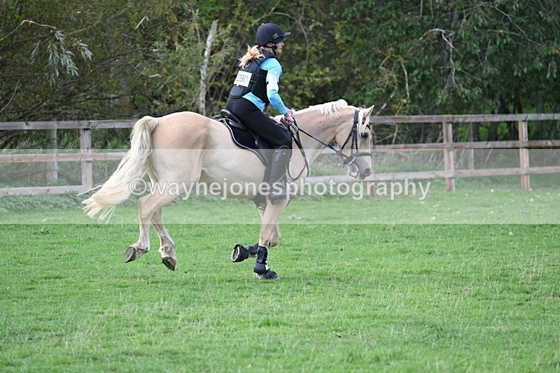 WJ7_0800 - Time 14:27 to 15:11