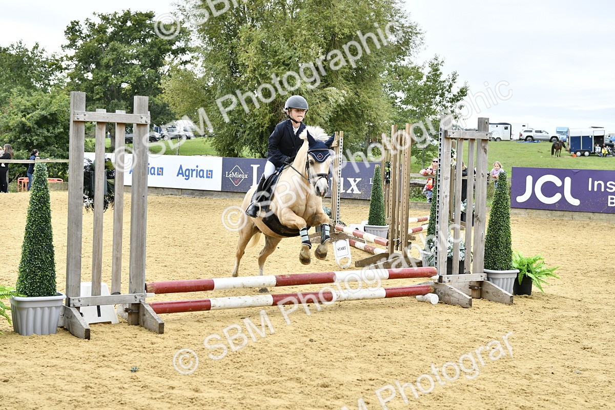 SBM_65504 - J2a mini Tour Junior Pony 30cm Championship