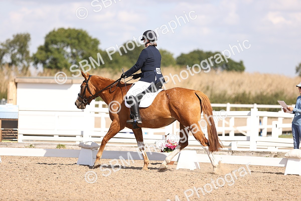 SBM_03554 - CLass 35 Intro 3