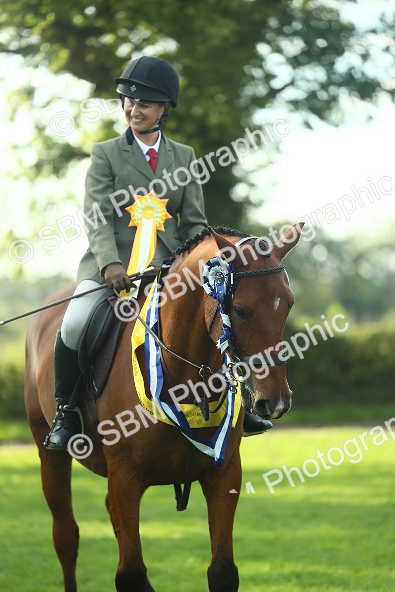 SBM_52320 - Working Hunter Supreme Championship