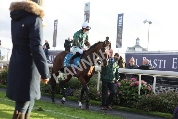 yr07102022r6-11 - Race 6 5.00pm William Hill Lengthen Your Odds EBF Novice Stakes