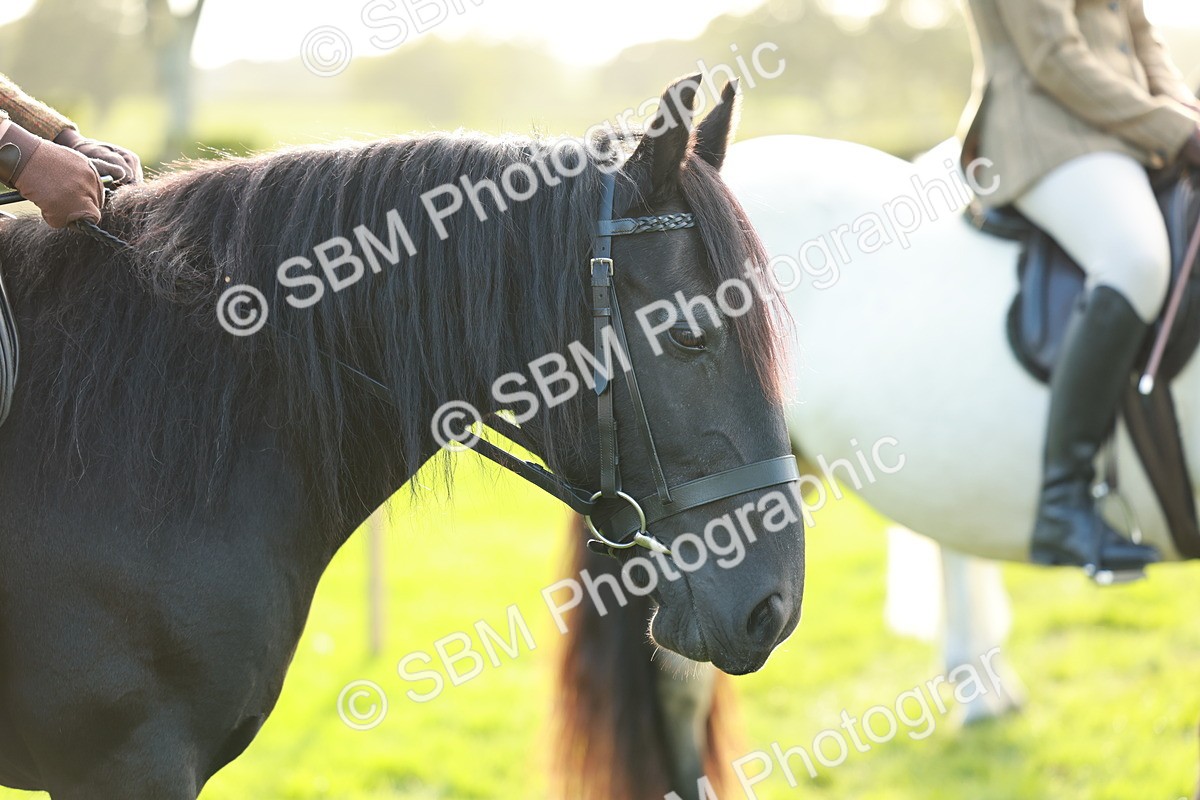 SBM_28801 - S7 - Novice & Newcomer Ridden Pony