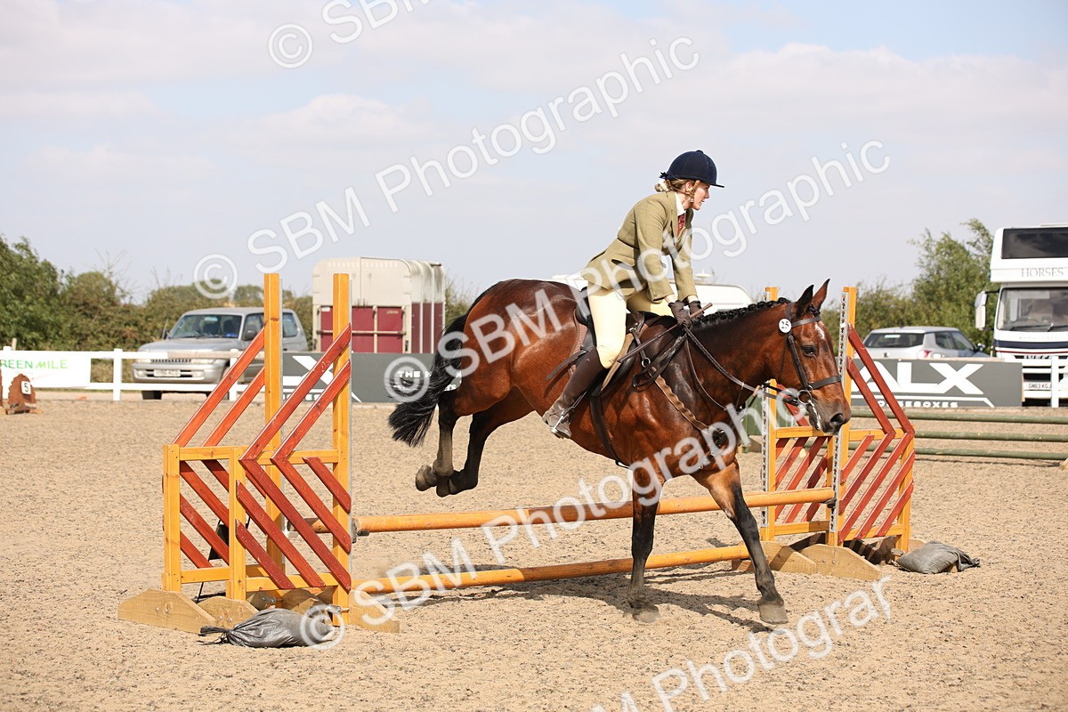 SBM_14355 - Class 407b - Working Veteran 60cm (20+)