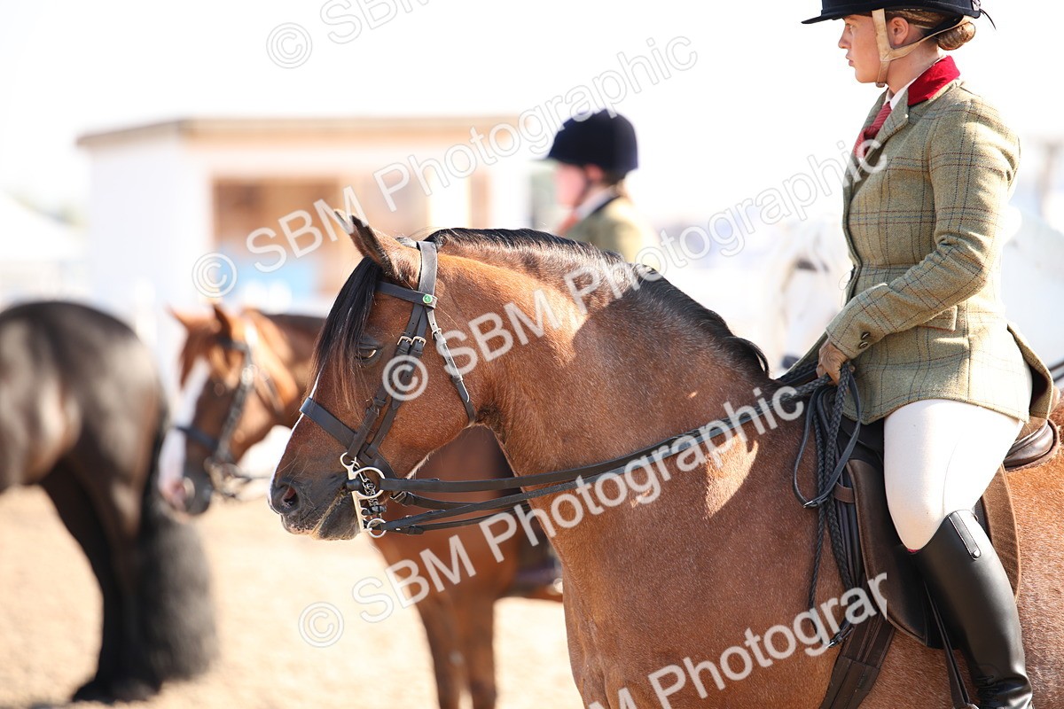 SBM_00708 - Class 14 Ridden M&M Wildcard