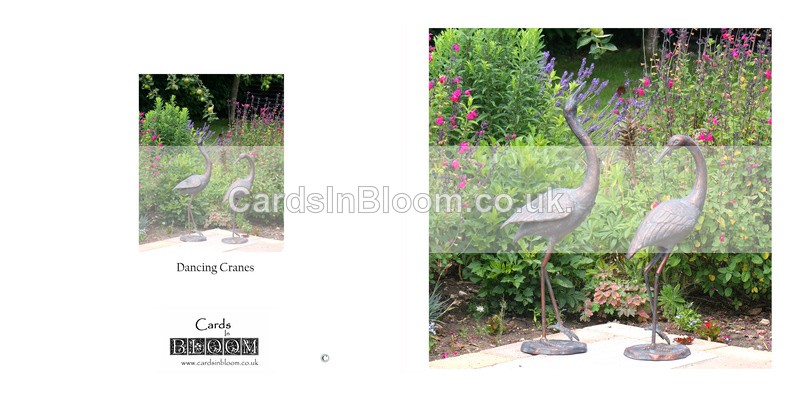 01 Dancing Cranes - GARDENS