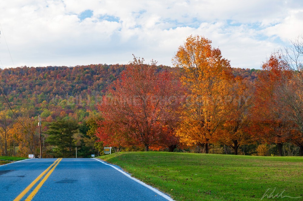 DSC_1837 - Autumn