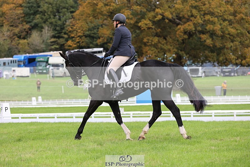 251023A-113710-03371 - D-315-Georgina.Marks