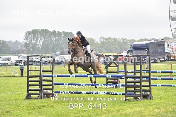 BPP_6443 - CLASS 1 Senior Newcomers/ 1.10m Open