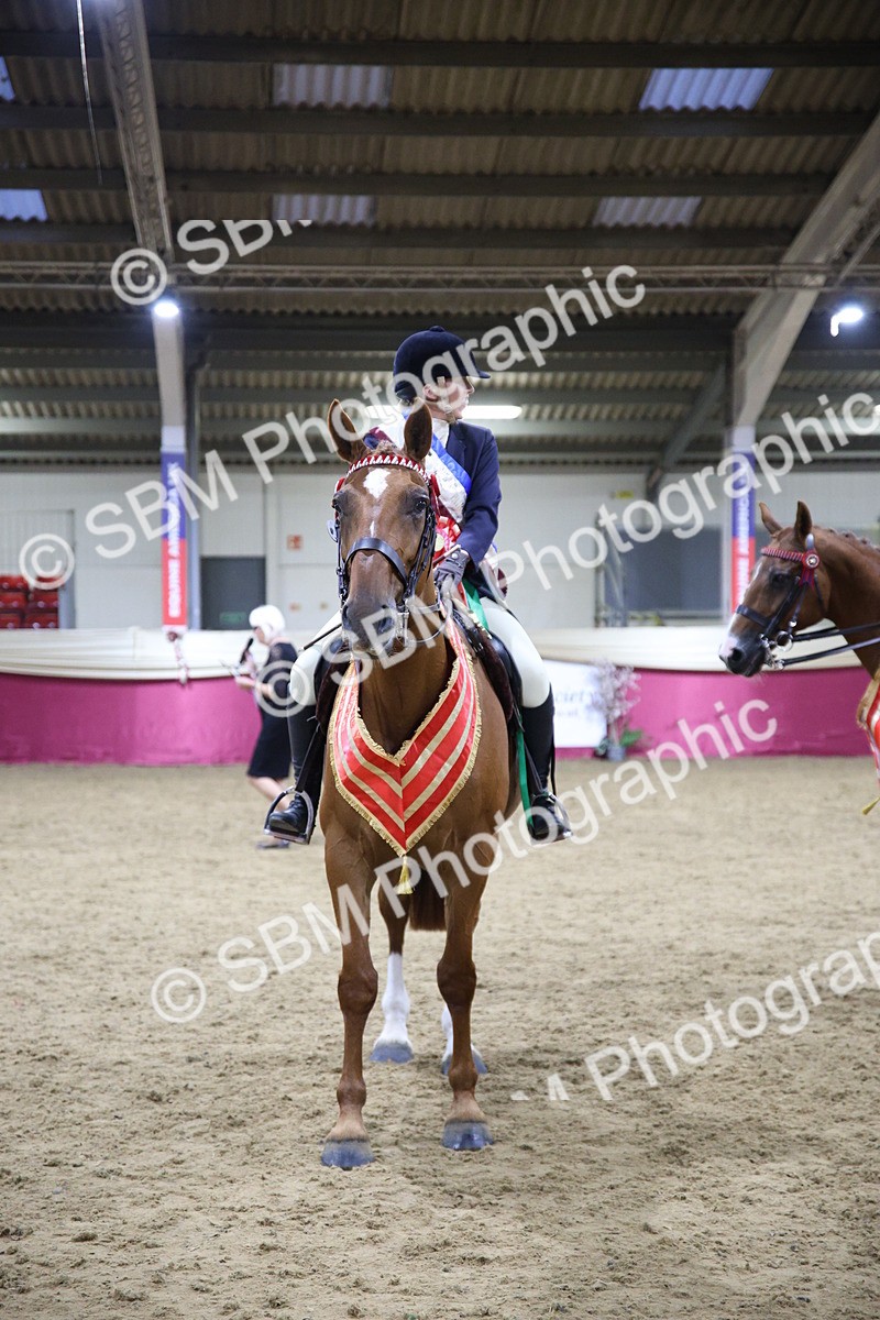 5K7A1538 - Class M Ridden Pairs Champ