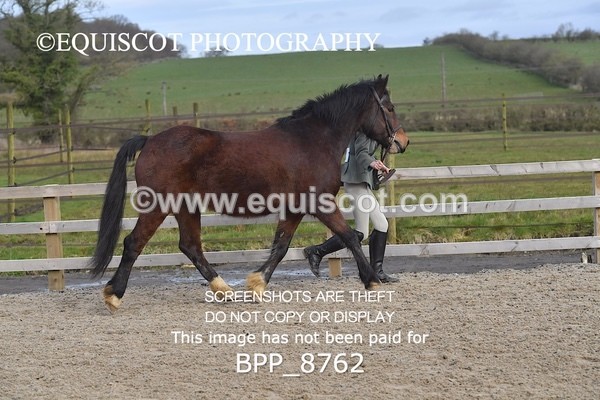 BPP_8762 - RING 2 - M&M