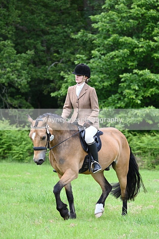WJ7_2573 - Class 12A Coloured Class