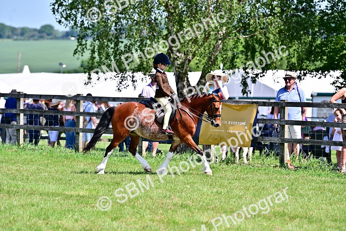 SBM_13922 - Class 95-97 - BSPS LHS Performance Ponies