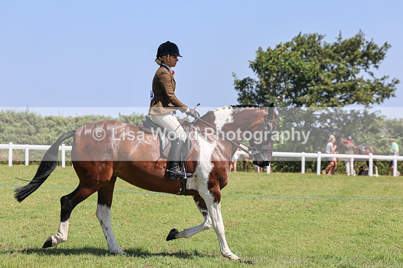 IMG_2315 - Class 38: Veteran Ridden