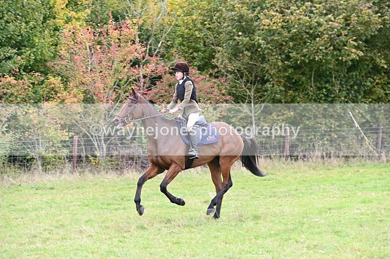 WJ6_0848 - Camera 2 Line 1