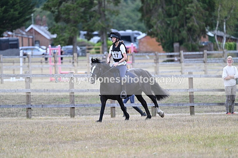 WJ7_0722 - 60cm Time 12:26 to 12:46