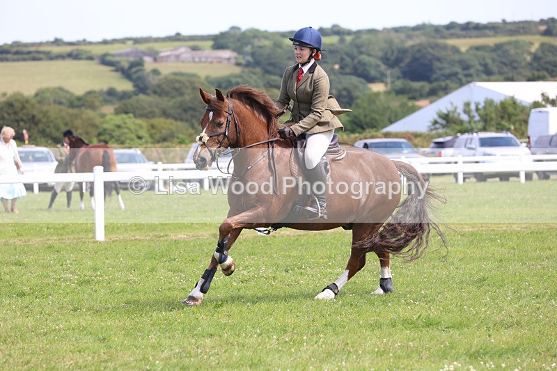 JPP_3685 - Class 23: Working Hunter 80cm