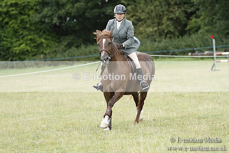 BVR160717-368 - Ring 3 BVRC Show 16/07/17