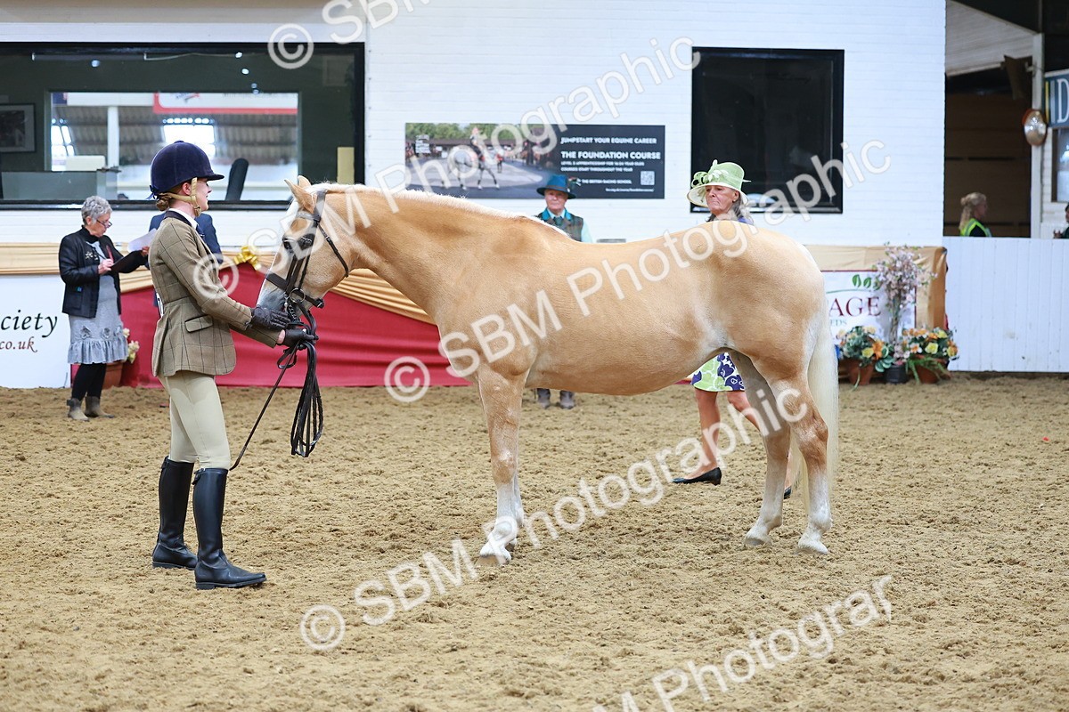 SBM_09814 - Class 102 - HOYS Veteran Qualifier - Ridden Veteran