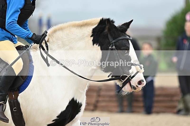 241110-095252-00111 - 40cm Showjumping