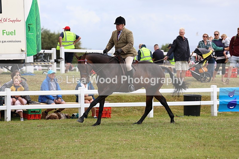 3E7A0977 - Class 8: Open Riding Horse/Hack