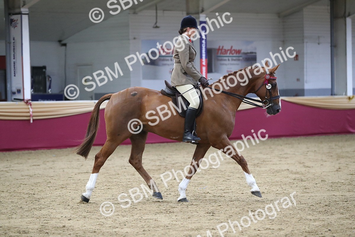 SBM_08433 - Class 11R Regional Ridden Veteran