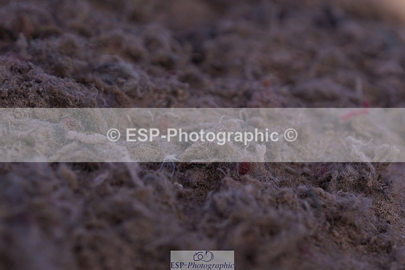 250629-183554-13936 - Cls 34 Springboard 128cm and 138cm