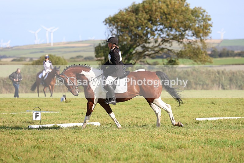 3E7A5899 - Class 1: Trebudannon Open: Dressage (Part 2)