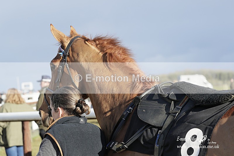 PtP 180323 1347 - Shelfield Park Races with Croome & West Warwickshire Hunt  18/03/23