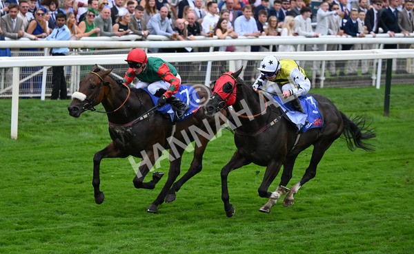 230825-224 Northern Ticker - Race 5 4.10pm Sky Bet Constantine Handicap